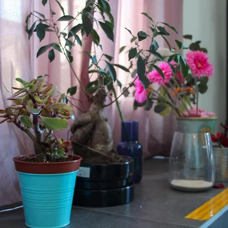 Namaste - Ayurveda & Benessere