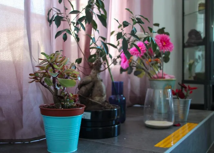 Namaste - Ayurveda & Benessere